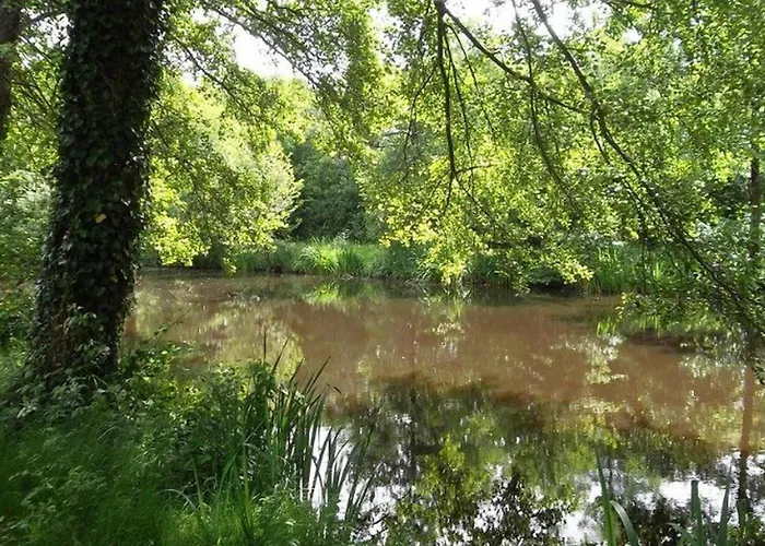 Κάμπινγκ Mobil-home Pour 6 Avec Terrasse A - Api-1-52-728